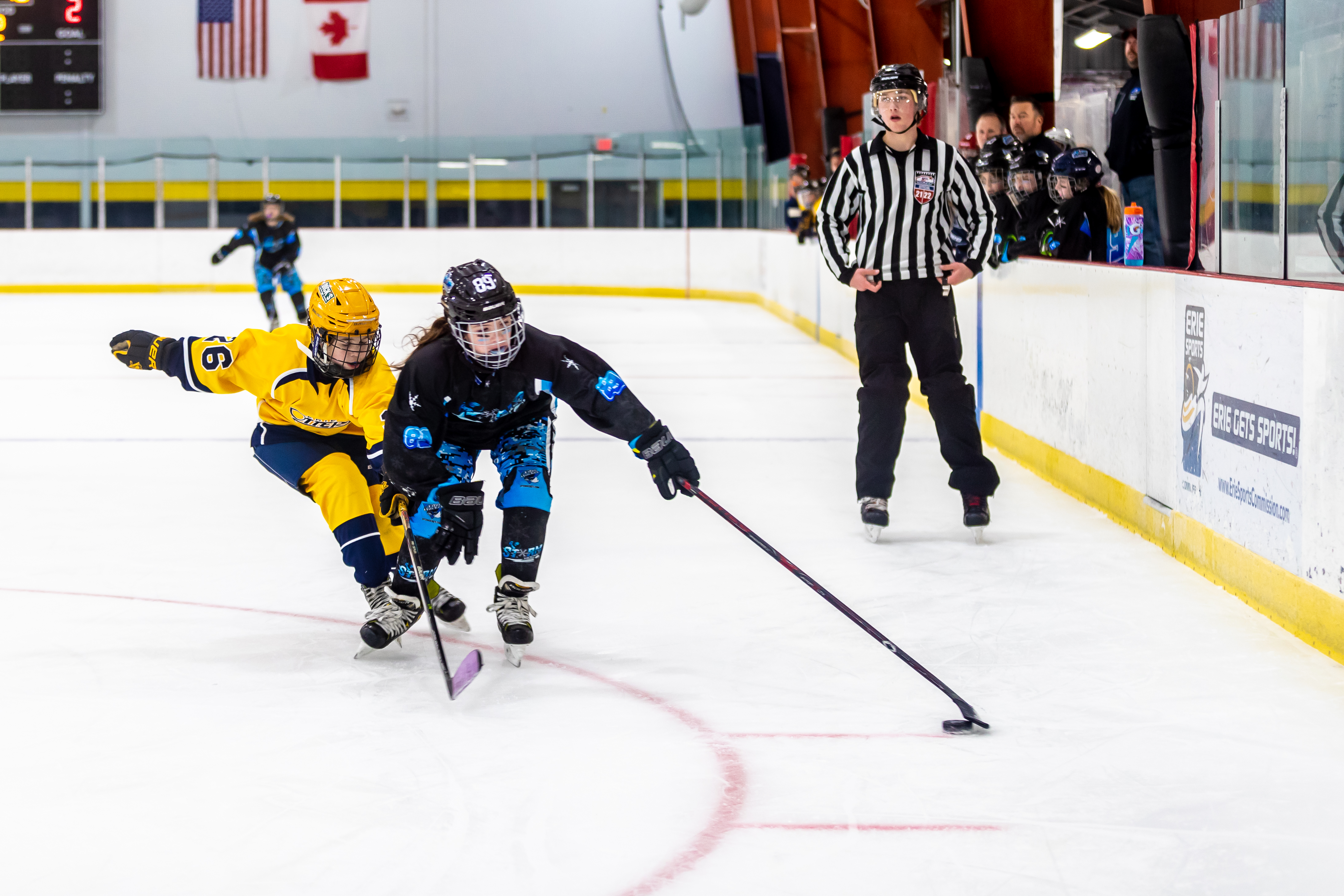 ESC Lake Effect Hockey v2